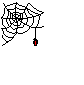 Ani_SpiderWeb.gif (5702 bytes)